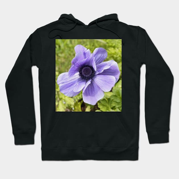 Lilac Anemone Hoodie by avrilharris